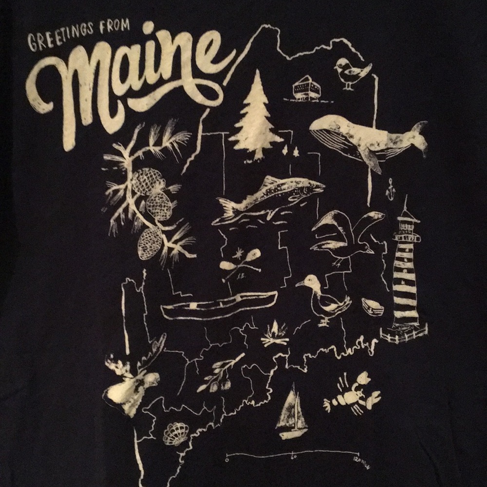 J. Crew Maine Destination Art Navy T Shirt - Picture 5 of 5